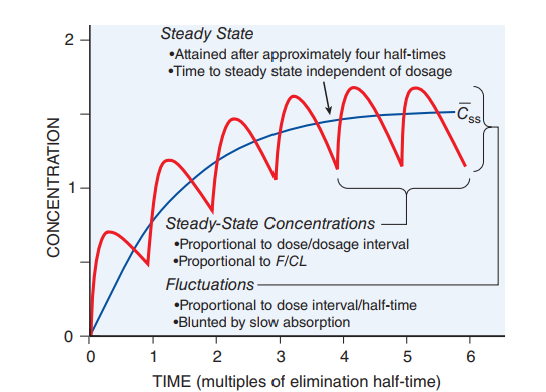 Multiple Oral Doses and Steady-State Fluctuations