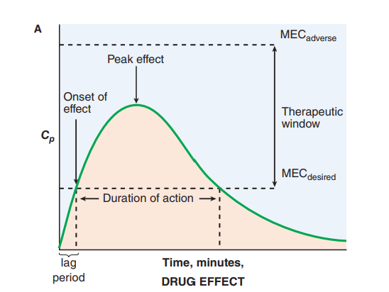 Single Oral Drug Dose and the Blood Drug Curve